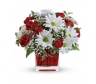 Red And White Delight by Teleflora